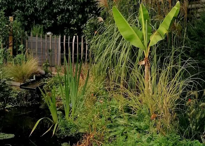 S+f Bokermann Apartment Hoerstel